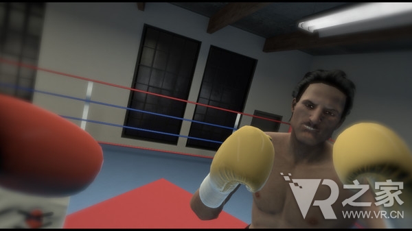 战斗的快感（The Thrill of the Fight - VR Boxing）