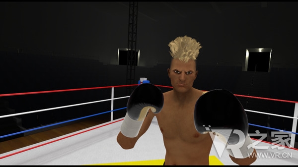 战斗的快感（The Thrill of the Fight - VR Boxing）