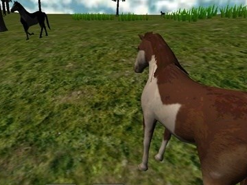 马VR（VR Horse）