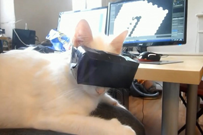 人不如猫！连猫都开始玩VR了"